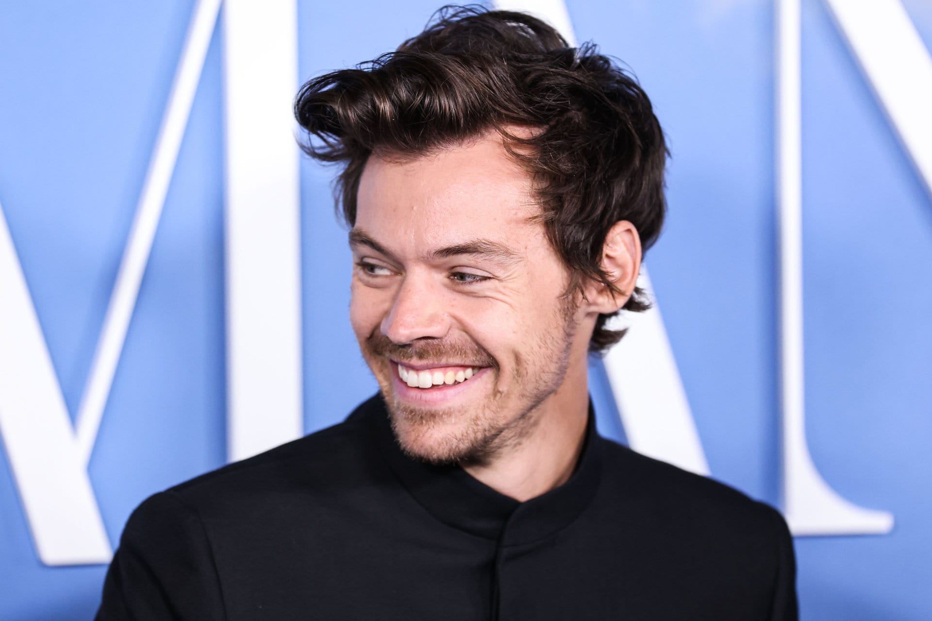 Harry Styles' Net Worth and Inspiring Story